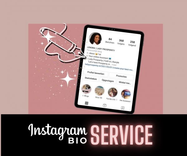 VA services | Instagram bio service