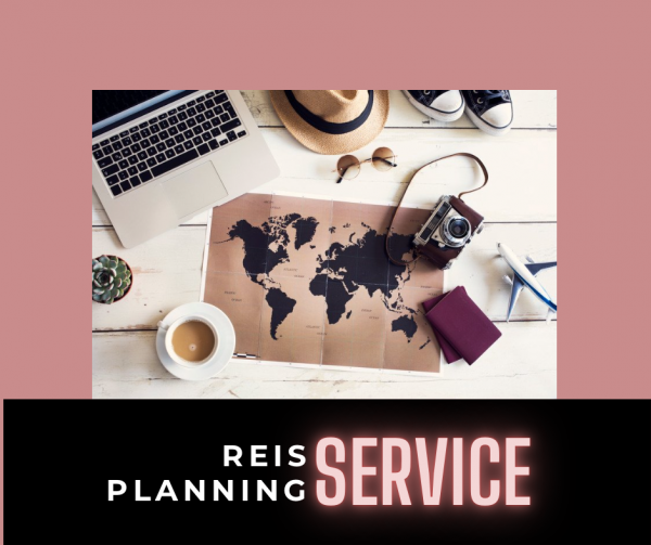 VA services | Reis planning service